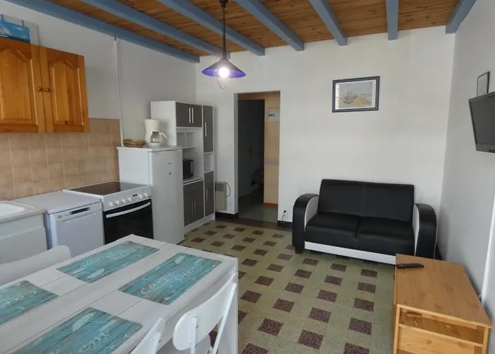 Apartment De 30m², 4 Pers, Animaux Admis - Fr-1-540-304 *