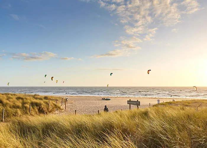 De 30m², 4 Pers, Animaux Admis - Fr-1-540-304