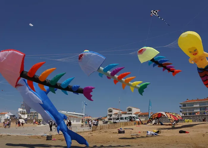 De 30m², 4 Pers, Animaux Admis - Fr-1-540-304 Apartment *